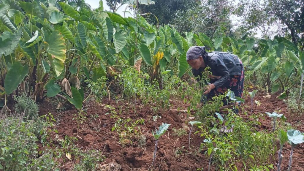 Woman bends down working in garden